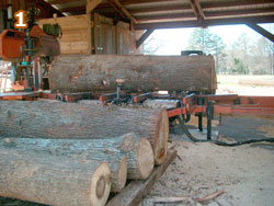 Logs in place for cutting.