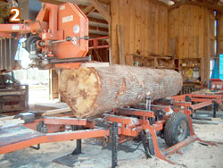 Logs being cut in the WoodMizer LT70 band saw.
