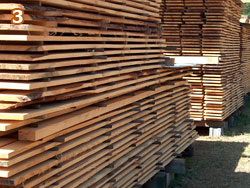 Logs cut and stick-stacked for air-drying.