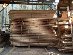 3,000 Board feet of Pecan boards air-drying.